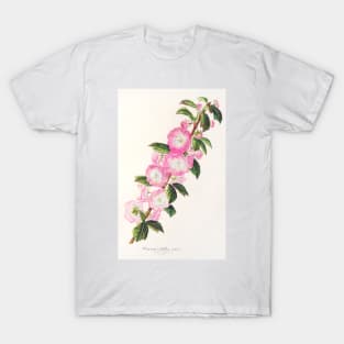 Flowering almond - Botanical Illustration T-Shirt